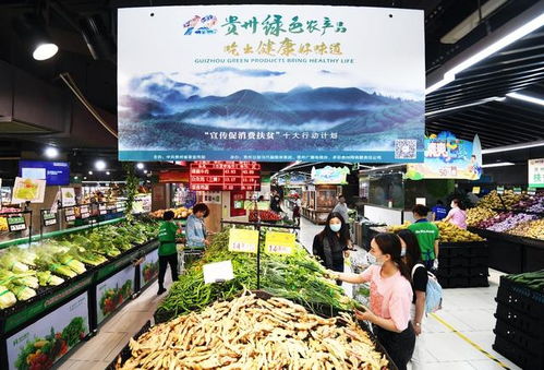 貴陽農村電商 為鄉村振興插上“金翅膀”，暢通農副產品銷售新渠道