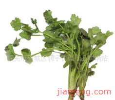 萊蕪市萊城區(qū)潤(rùn)宇農(nóng)副產(chǎn)品購(gòu)銷站加盟連鎖 開啟財(cái)富與健康新篇章